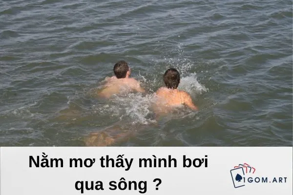 nằm mơ thấy mình bơi qua sông (2)